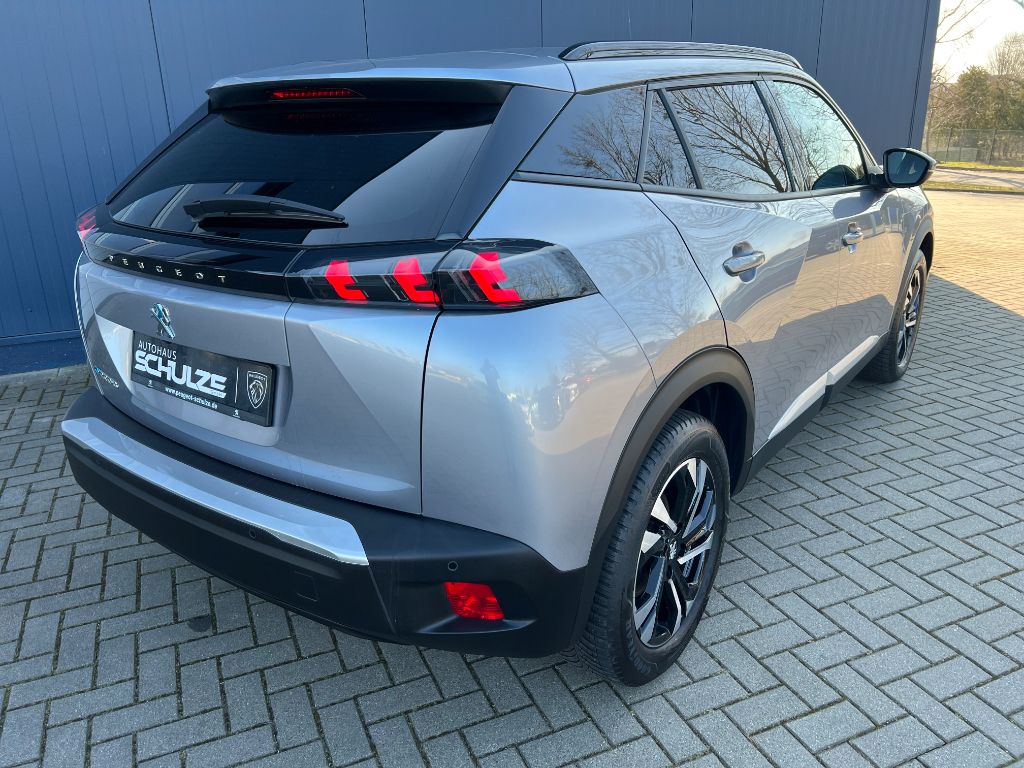 2008 Elektro Allure