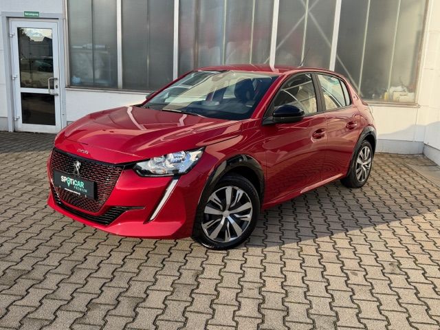 208 Elektromotor 136 Active