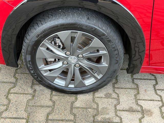 208 Elektromotor 136 Active Pack