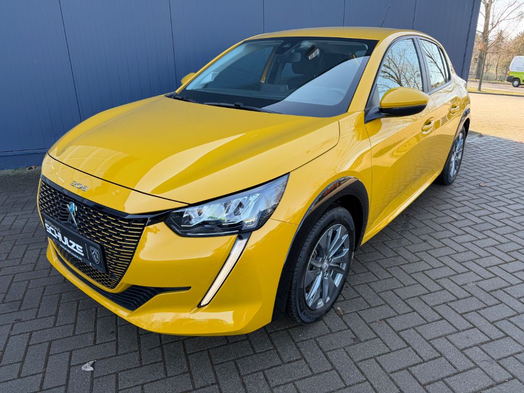 208 Elektromotor 136 Active Pack