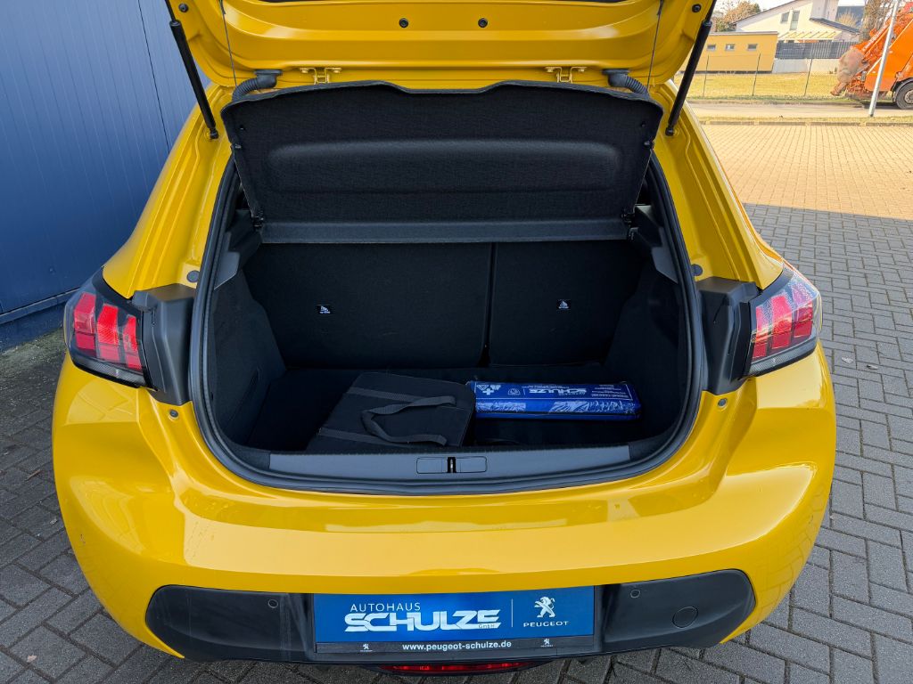 208 Elektromotor 136 Active Pack