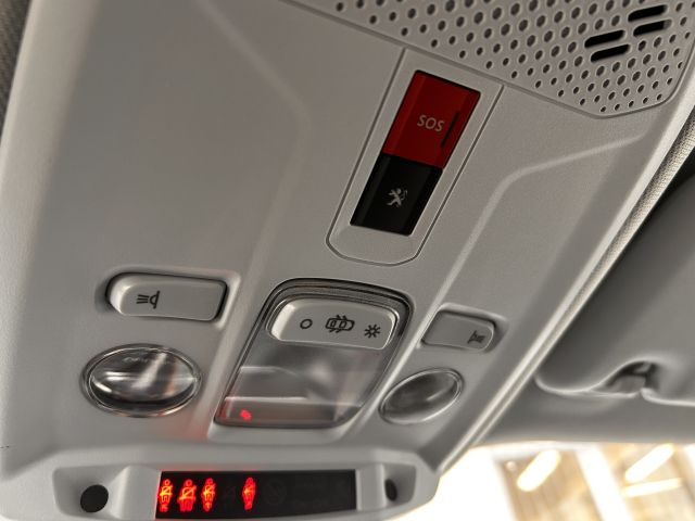 2008 Elektro Allure Pack