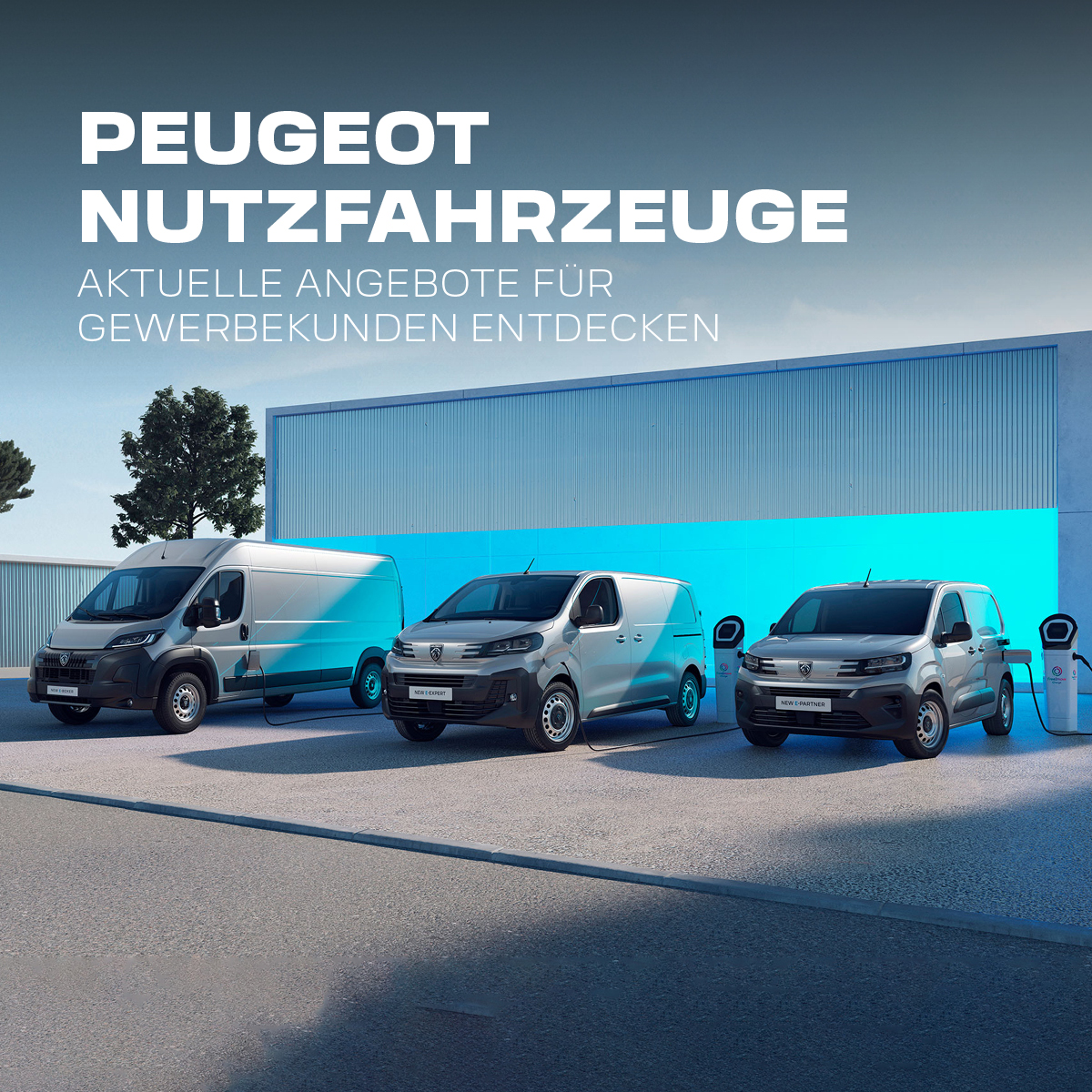 HEADER-MOBILE-PEUGEOT-NFZ-Q3
