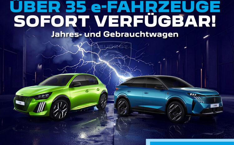  Sofort verfügbare E-Fahrzeuge