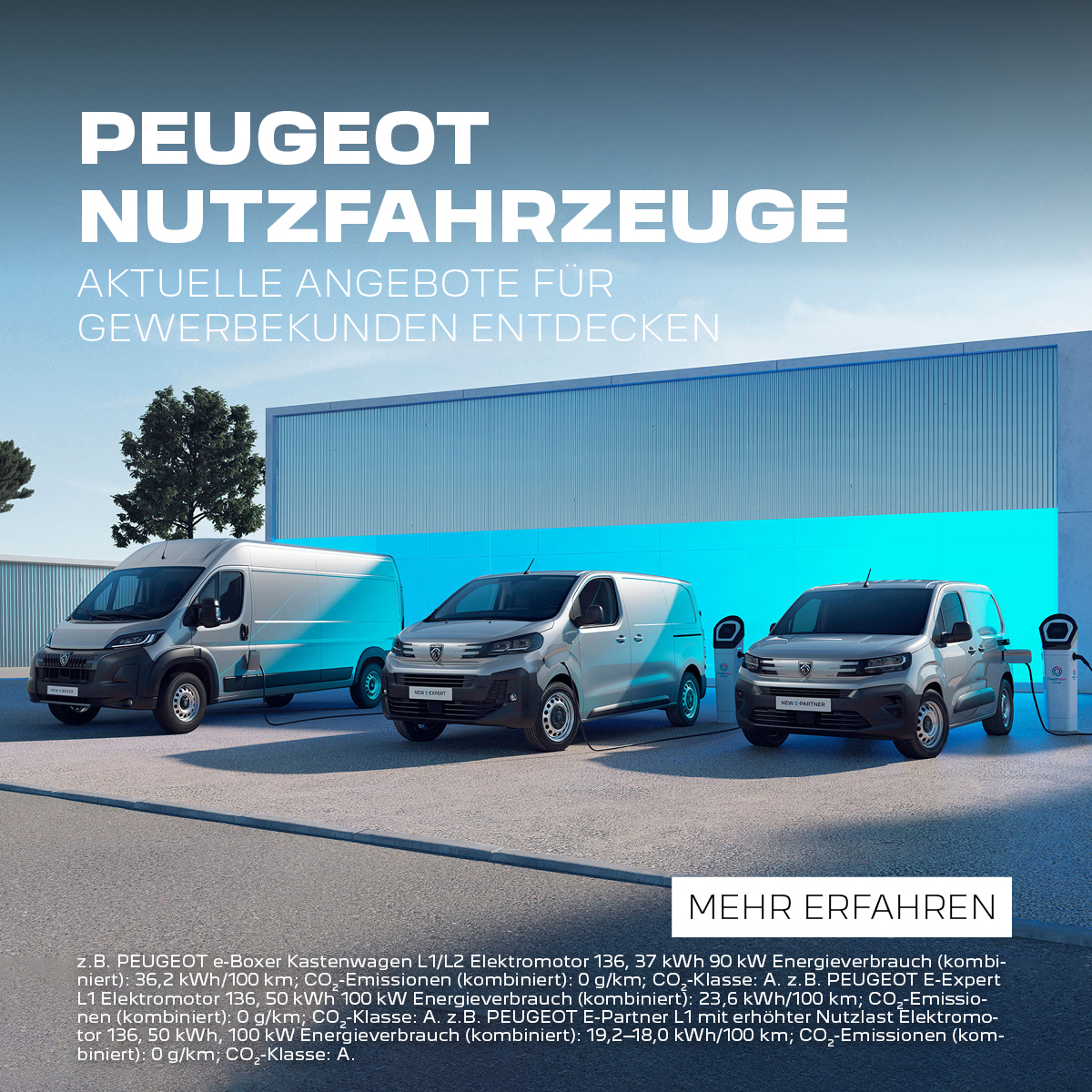 Peugeot Nutzfahrzeug Angebote