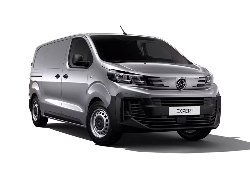 Peugeot Expert Kastenwagen