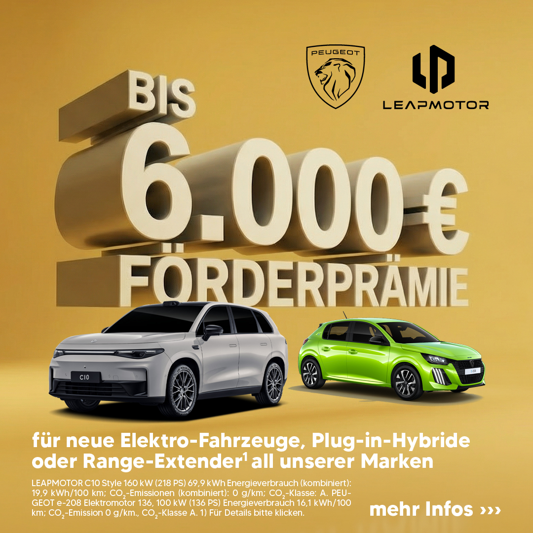 BEITRAG Förderprämie E-Fahrzeuge